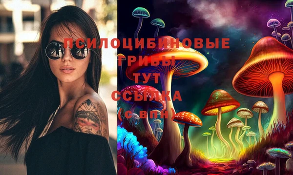 apvp Баксан